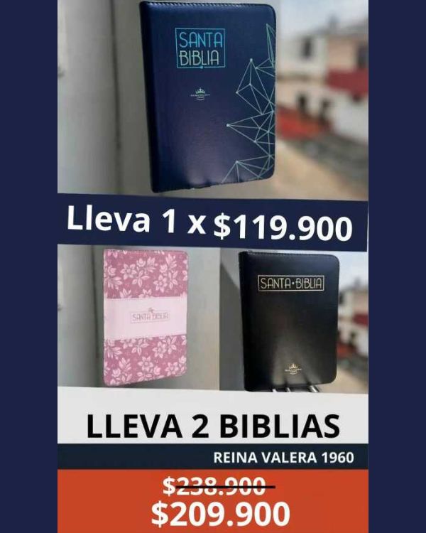 BIBLIA Reina Valera Letra 12 S