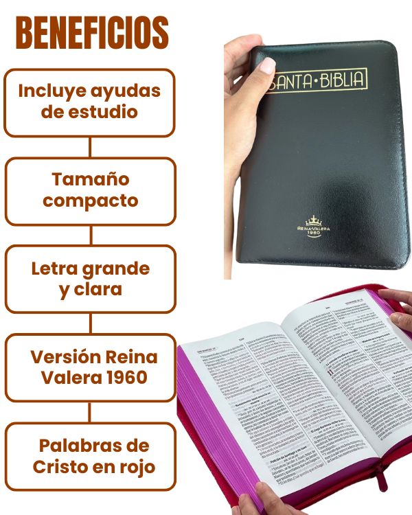 BIBLIA Reina Valera Letra 12 S