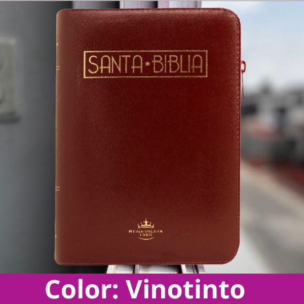 BIBLIA Reina Valera Letra 12 S