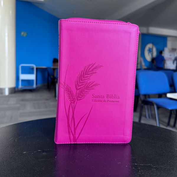 Biblia Edición Promesas