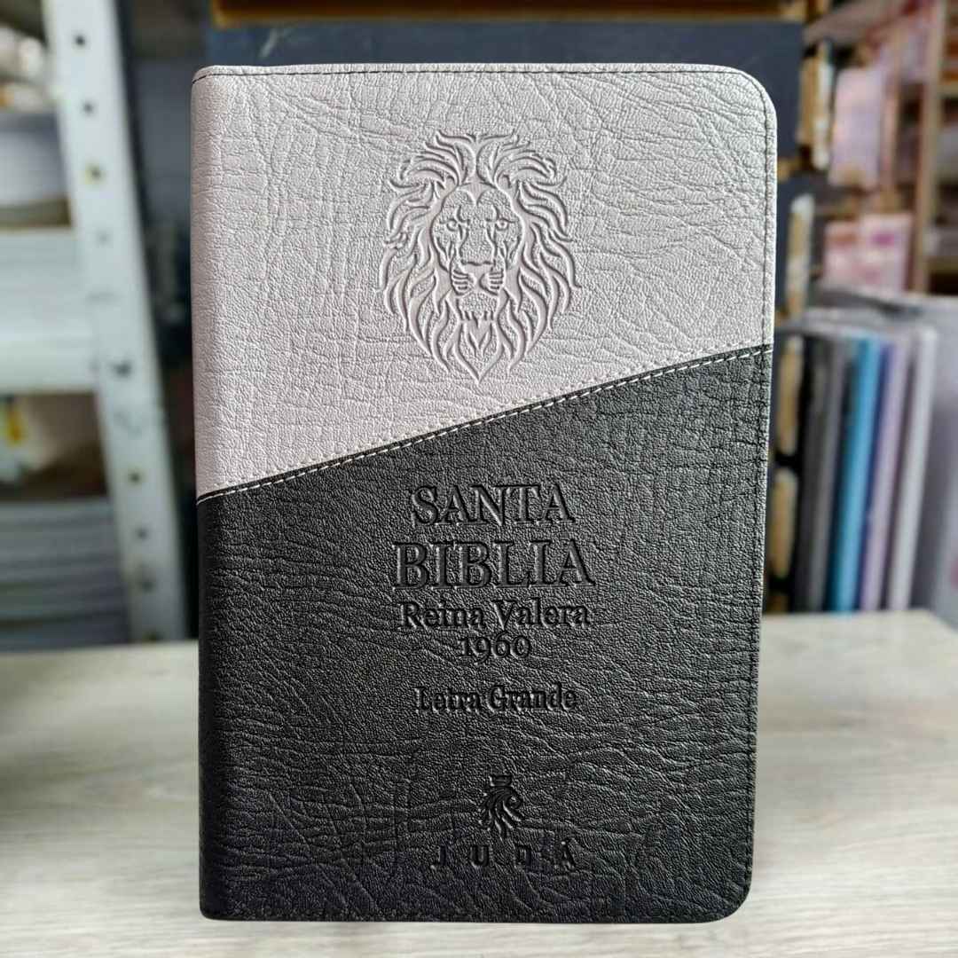 BIBLIA Reina Valera 1960 Con ayudas