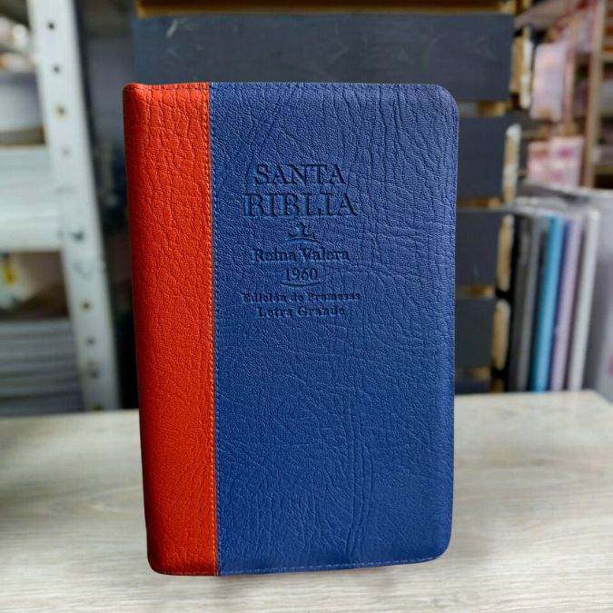 BIBLIA Reina Valera 1960 (PROMESAS)