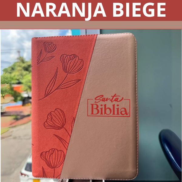 BIBLIA LETRA GIGANTE 14 SIN INDICE
