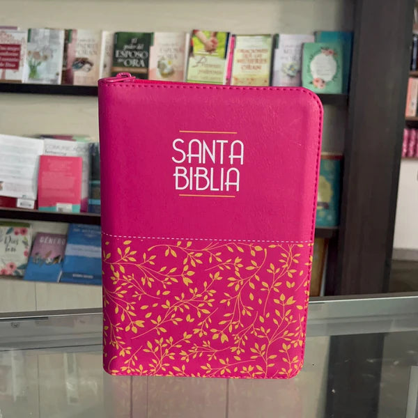 BIBLIA Reina Valera Letra 12 S