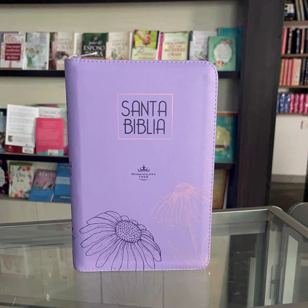 BIBLIA Reina Valera Letra 12 S