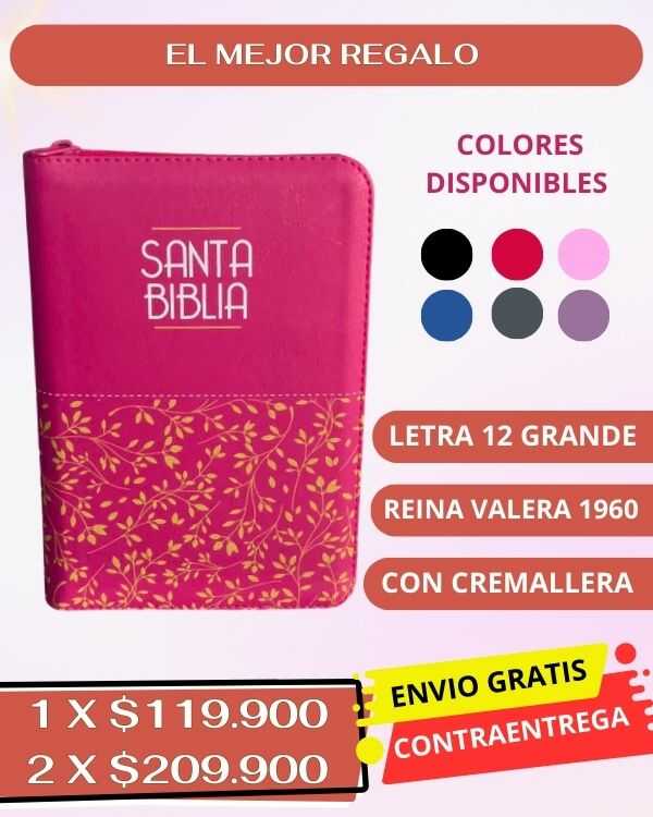 BIBLIA Reina Valera Letra 12 S