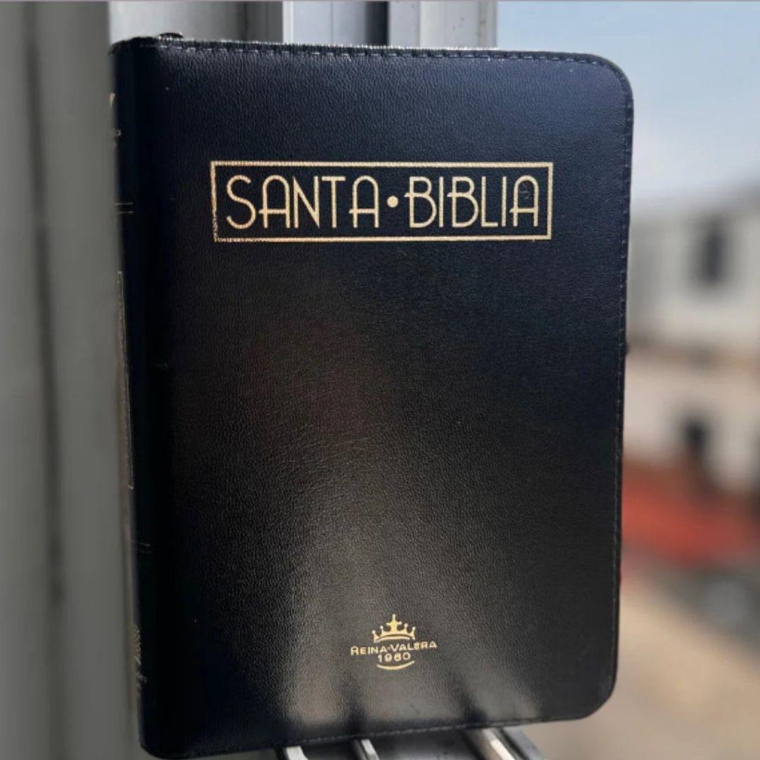 BIBLIA Reina Valera Letra 12  S