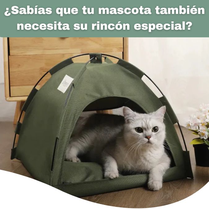 CARPA PARA MASCOTA