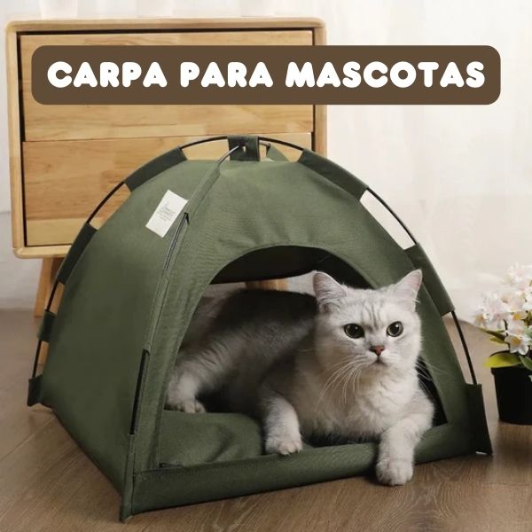CARPA PARA MASCOTA