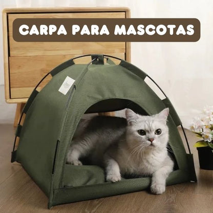 CARPA PARA MASCOTA