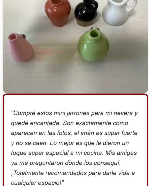 Mini jarrón imanes jarrón de cerámica imanes x5