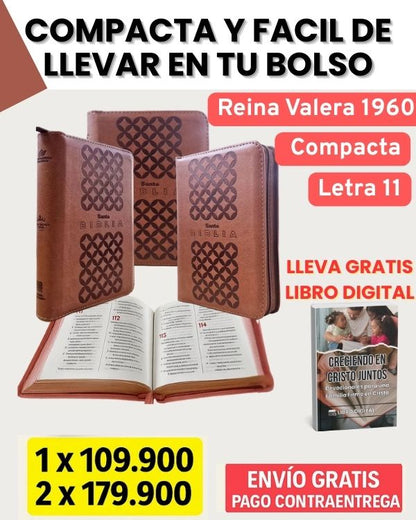 Biblia letra 11 Compacta