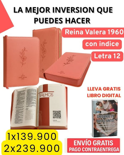 BIBLIA  Reina Valera Letra 12 con Indice