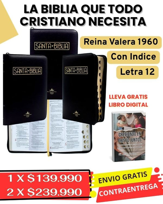 BIBLIA  Reina Valera Letra 12 con Indice JUDA